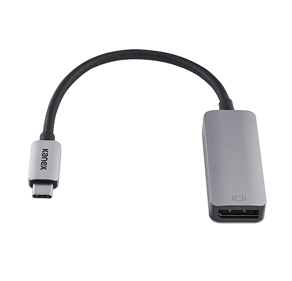 fange barriere salt USB-C to DisplayPort Adapter with 4K Support